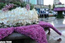 Holiday of Flowers celebrated in parks in Baku - PHOTO SESSION